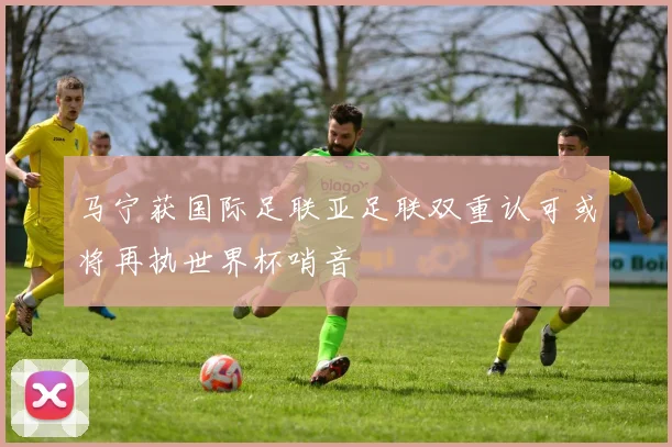 马宁获国际足联亚足联双重认可或将再执世界杯哨音